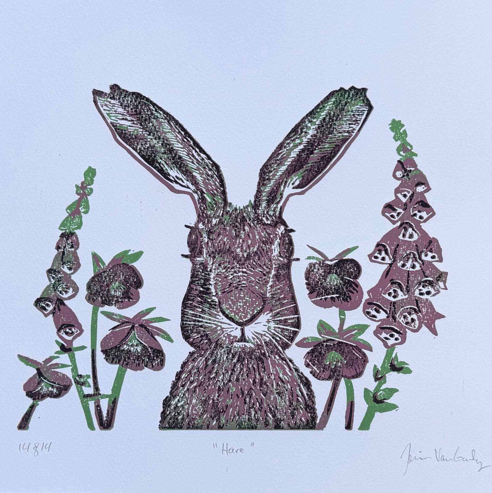 Hare print by Jessi Van Gundy